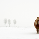Illustration for article titled 41 More Amazing Photos From the Sony World Photography Awards